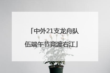 中外21支龙舟队伍端午节竞渡右江