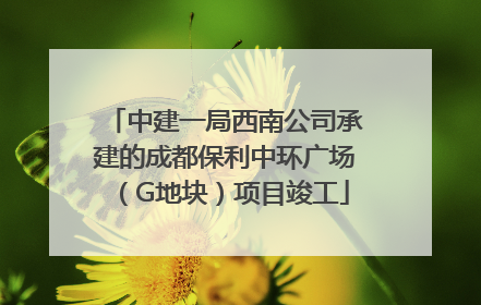 中建一局西南公司承建的成都保利中环广场（G地块）项目竣工
