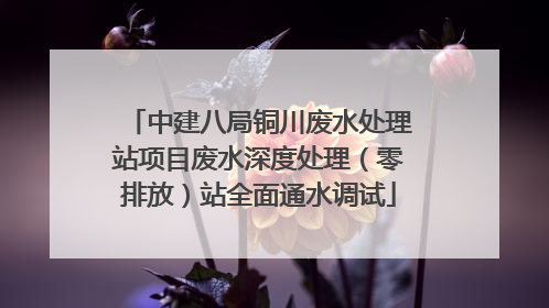 中建八局铜川废水处理站项目废水深度处理（零排放）站全面通水调试