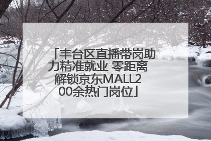 丰台区直播带岗助力精准就业 零距离解锁京东MALL200余热门岗位