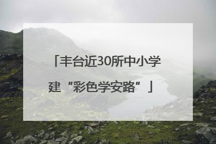 丰台近30所中小学建“彩色学安路”