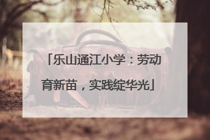 乐山通江小学：劳动育新苗，实践绽华光