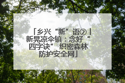 乡兴“新”语②丨新晃凉伞镇：念好“四字诀” 织密森林防护安全网