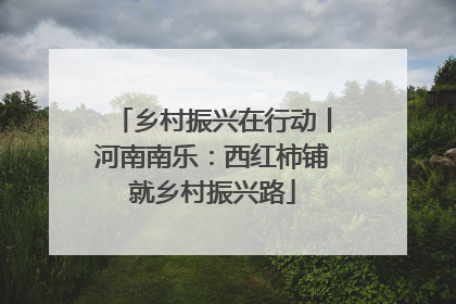 乡村振兴在行动丨河南南乐：西红柿铺就乡村振兴路