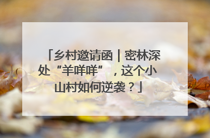 乡村邀请函｜密林深处“羊咩咩”，这个小山村如何逆袭？