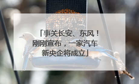 事关长安、东风！刚刚宣布，一家汽车新央企将成立
