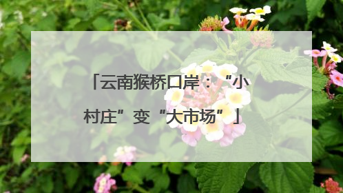 云南猴桥口岸：“小村庄”变“大市场”