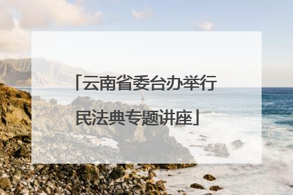 云南省委台办举行民法典专题讲座