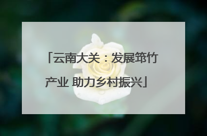 云南大关：发展筇竹产业 助力乡村振兴