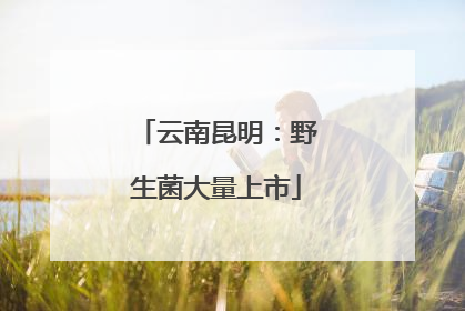 云南昆明：野生菌大量上市