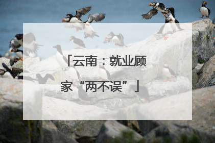 云南：就业顾家“两不误”