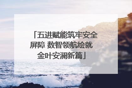 五进赋能筑牢安全屏障 数智领航绘就金叶安澜新篇