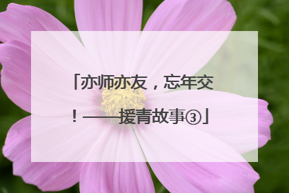 亦师亦友，忘年交！——援青故事③