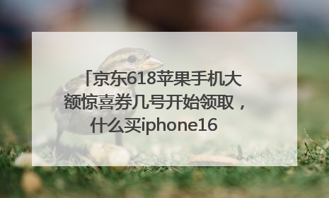 京东618苹果手机大额惊喜券几号开始领取，什么买iphone16最便宜，能降价多钱？