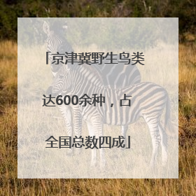 京津冀野生鸟类达600余种，占全国总数四成