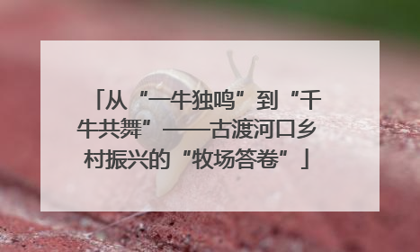 从“一牛独鸣”到“千牛共舞”——古渡河口乡村振兴的“牧场答卷”