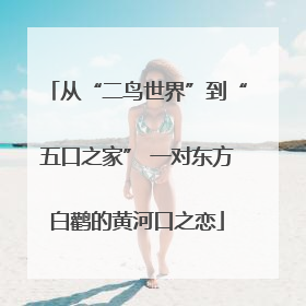 从“二鸟世界”到“五口之家” 一对东方白鹳的黄河口之恋