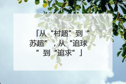 从“村超”到“苏超”，从“追球”到“追求”