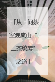 从一间茶室观岚山“三茶统筹”之道