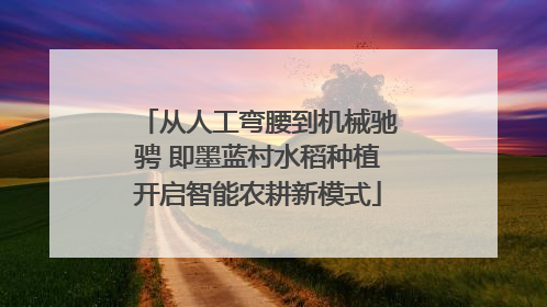 从人工弯腰到机械驰骋 即墨蓝村水稻种植开启智能农耕新模式