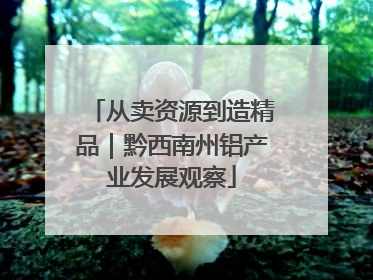 从卖资源到造精品｜黔西南州铝产业发展观察