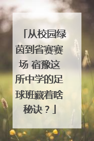 从校园绿茵到省赛赛场 宿豫这所中学的足球班藏着啥秘诀？