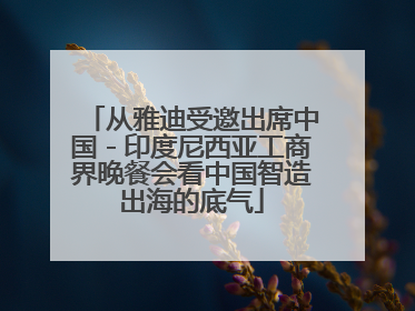 从雅迪受邀出席中国－印度尼西亚工商界晚餐会看中国智造出海的底气