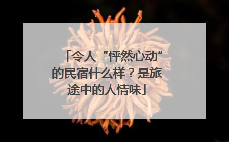令人“怦然心动”的民宿什么样？是旅途中的人情味