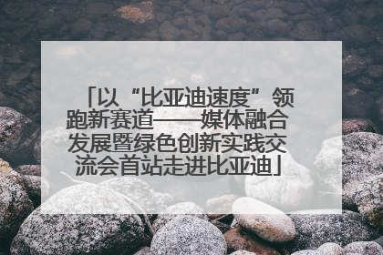 以“比亚迪速度”领跑新赛道——媒体融合发展暨绿色创新实践交流会首站走进比亚迪