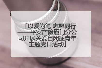 以爱为笔 志愿同行——平安产险厦门分公司开展关爱自闭症青年主题党日活动