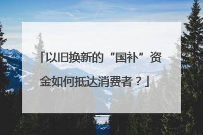 以旧换新的“国补”资金如何抵达消费者？