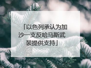 以色列承认为加沙一支反哈马斯武装提供支持