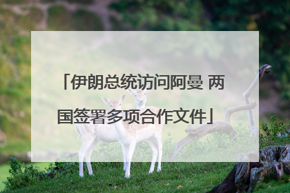 伊朗总统访问阿曼 两国签署多项合作文件