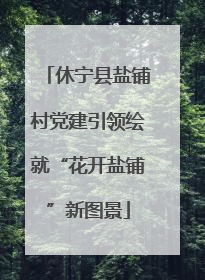 休宁县盐铺村党建引领绘就“花开盐铺”新图景