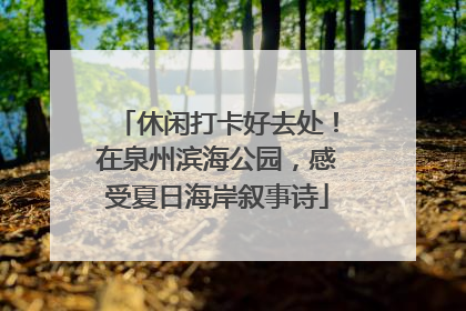 休闲打卡好去处！在泉州滨海公园，感受夏日海岸叙事诗