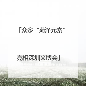 众多“菏泽元素”亮相深圳文博会