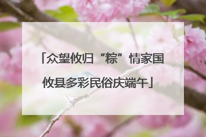 众望攸归“粽”情家国 攸县多彩民俗庆端午