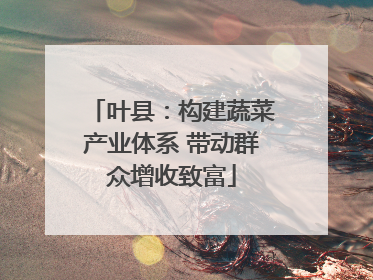 叶县：构建蔬菜产业体系 带动群众增收致富