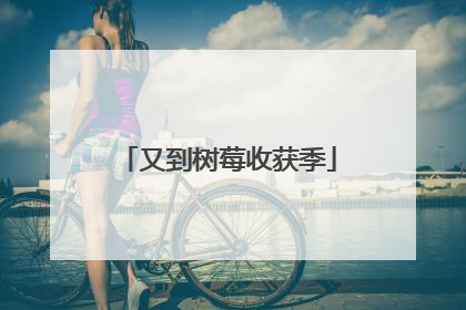又到树莓收获季