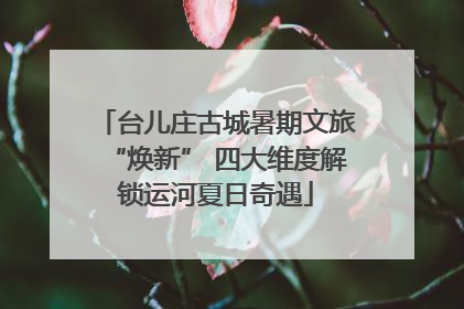 台儿庄古城暑期文旅“焕新” 四大维度解锁运河夏日奇遇