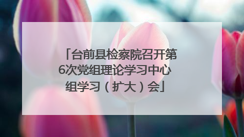 台前县检察院召开第6次党组理论学习中心组学习（扩大）会