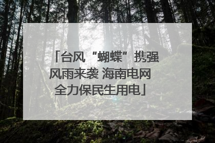 台风“蝴蝶”携强风雨来袭 海南电网全力保民生用电
