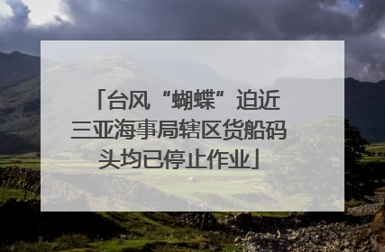 台风“蝴蝶”迫近 三亚海事局辖区货船码头均已停止作业