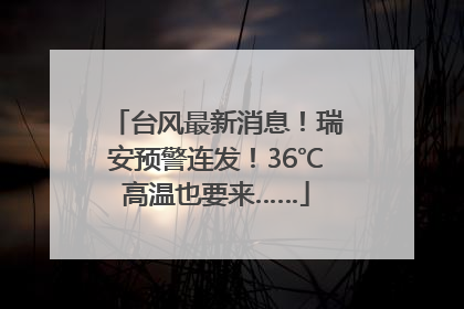 台风最新消息！瑞安预警连发！36℃高温也要来……