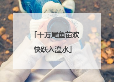 十万尾鱼苗欢快跃入湟水