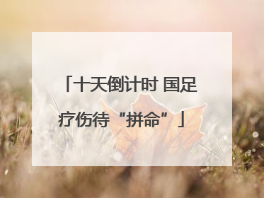 十天倒计时 国足疗伤待“拼命”