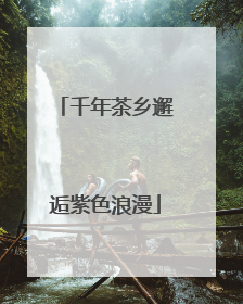 千年茶乡邂逅紫色浪漫