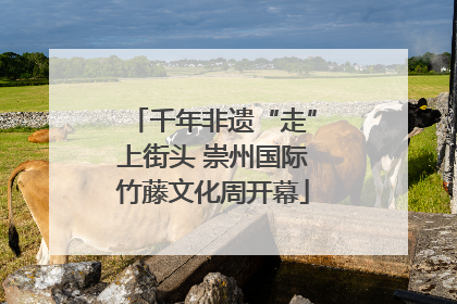 千年非遗“走”上街头 崇州国际竹藤文化周开幕