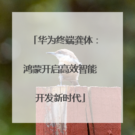 华为终端龚体：鸿蒙开启高效智能开发新时代