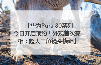 华为Pura 80系列今日开启预约！外观首次亮相：超大三角镜头模组